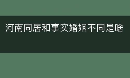 河南同居和事实婚姻不同是啥