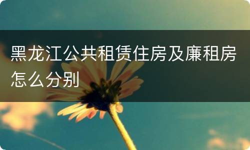 黑龙江公共租赁住房及廉租房怎么分别