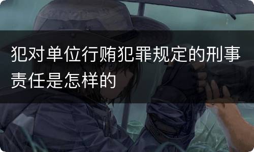 犯对单位行贿犯罪规定的刑事责任是怎样的