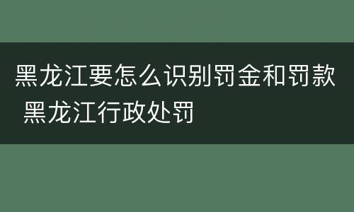 黑龙江要怎么识别罚金和罚款 黑龙江行政处罚