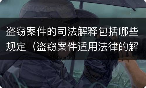 盗窃案件的司法解释包括哪些规定（盗窃案件适用法律的解释）