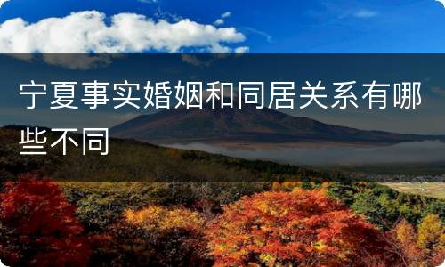 宁夏事实婚姻和同居关系有哪些不同