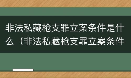非法私藏枪支罪立案条件是什么（非法私藏枪支罪立案条件是什么标准）