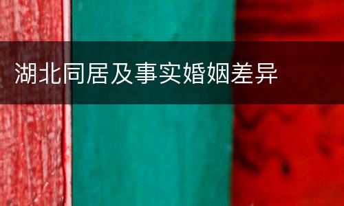 湖北同居及事实婚姻差异