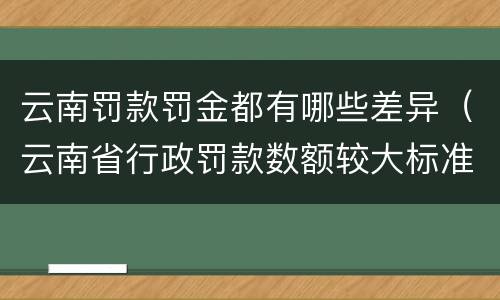 云南罚款罚金都有哪些差异（云南省行政罚款数额较大标准）
