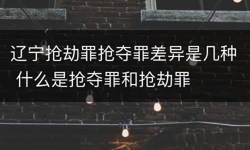 辽宁抢劫罪抢夺罪差异是几种 什么是抢夺罪和抢劫罪