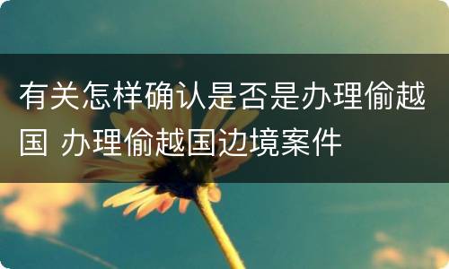 有关怎样确认是否是办理偷越国 办理偷越国边境案件