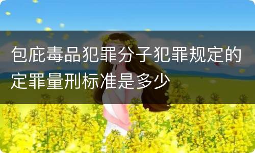 包庇毒品犯罪分子犯罪规定的定罪量刑标准是多少