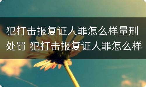 犯打击报复证人罪怎么样量刑处罚 犯打击报复证人罪怎么样量刑处罚的