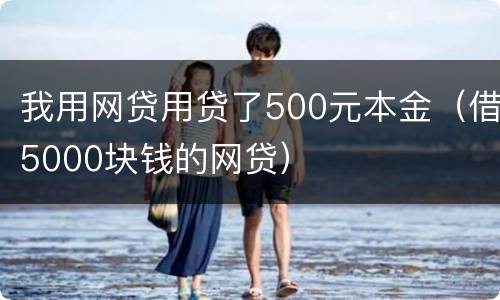 我用网贷用贷了500元本金（借5000块钱的网贷）