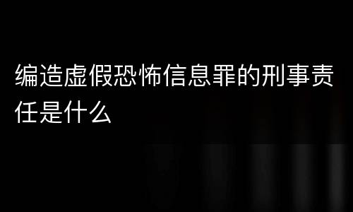 编造虚假恐怖信息罪的刑事责任是什么