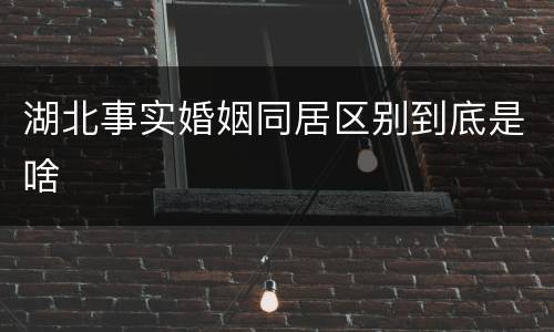 湖北事实婚姻同居区别到底是啥