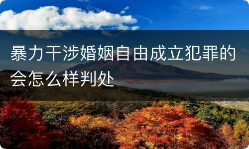 暴力干涉婚姻自由成立犯罪的会怎么样判处