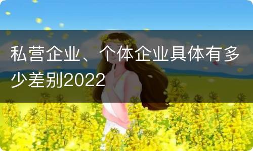 私营企业、个体企业具体有多少差别2022
