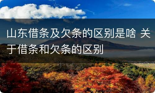 山东借条及欠条的区别是啥 关于借条和欠条的区别
