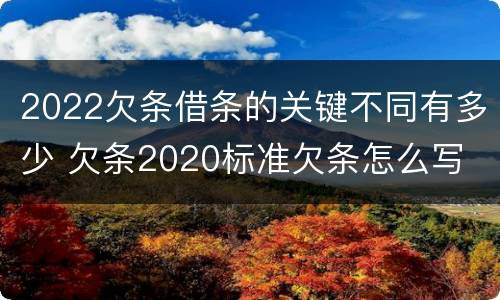 2022欠条借条的关键不同有多少 欠条2020标准欠条怎么写
