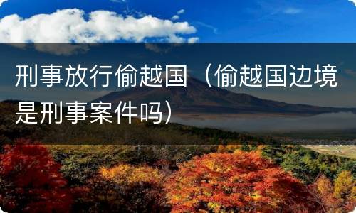 刑事放行偷越国（偷越国边境是刑事案件吗）