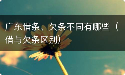 广东借条、欠条不同有哪些（借与欠条区别）