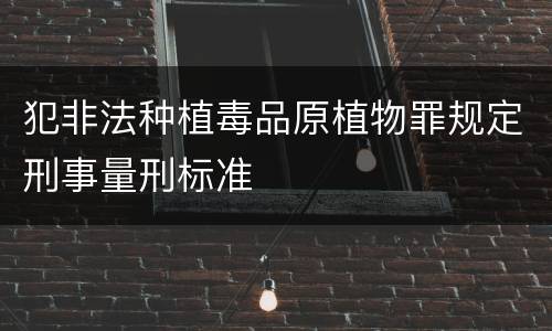 犯非法种植毒品原植物罪规定刑事量刑标准