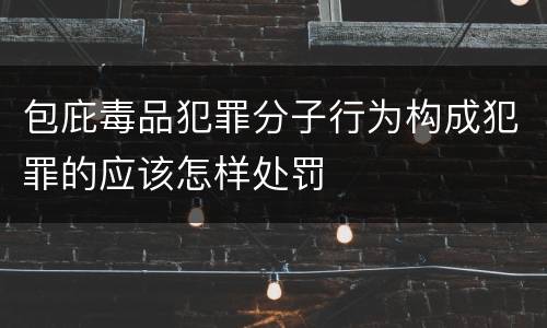 包庇毒品犯罪分子行为构成犯罪的应该怎样处罚