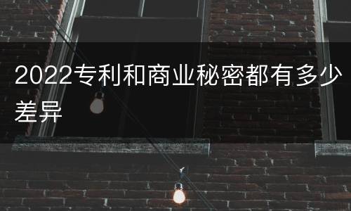 2022专利和商业秘密都有多少差异