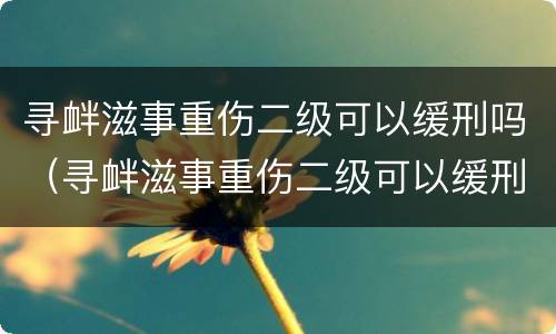 寻衅滋事重伤二级可以缓刑吗（寻衅滋事重伤二级可以缓刑吗）