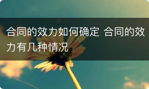 合同的效力如何确定 合同的效力有几种情况