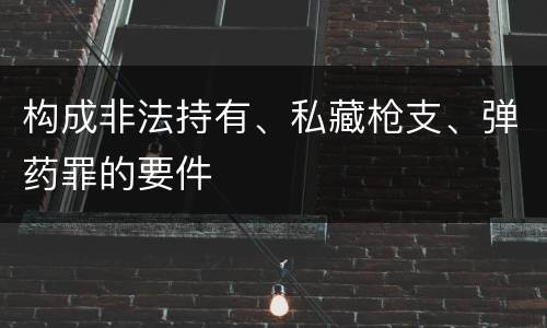 构成非法持有、私藏枪支、弹药罪的要件