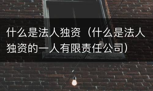 什么是法人独资（什么是法人独资的一人有限责任公司）