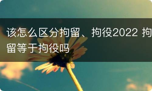 该怎么区分拘留、拘役2022 拘留等于拘役吗
