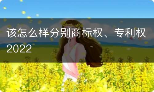 该怎么样分别商标权、专利权2022