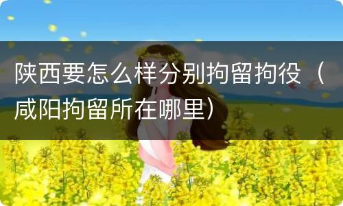 陕西要怎么样分别拘留拘役（咸阳拘留所在哪里）