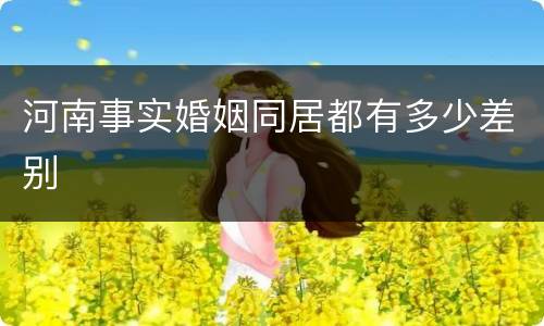 河南事实婚姻同居都有多少差别