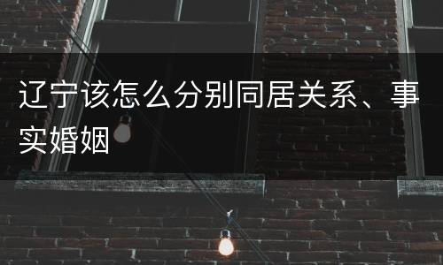 辽宁该怎么分别同居关系、事实婚姻
