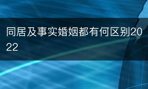同居及事实婚姻都有何区别2022