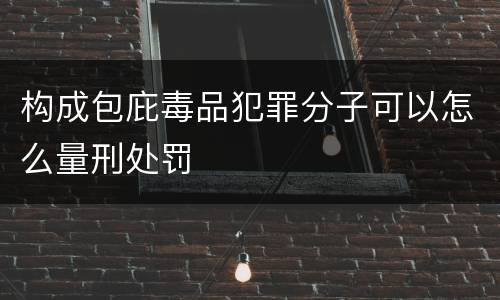 构成包庇毒品犯罪分子可以怎么量刑处罚
