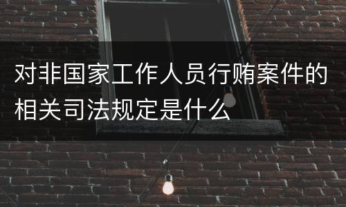 对非国家工作人员行贿案件的相关司法规定是什么