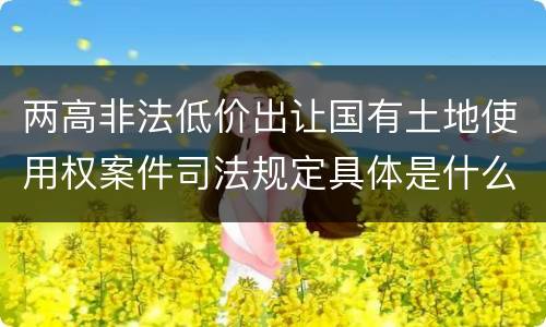 两高非法低价出让国有土地使用权案件司法规定具体是什么