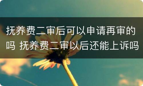 抚养费二审后可以申请再审的吗 抚养费二审以后还能上诉吗