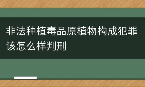 非法种植毒品原植物构成犯罪该怎么样判刑