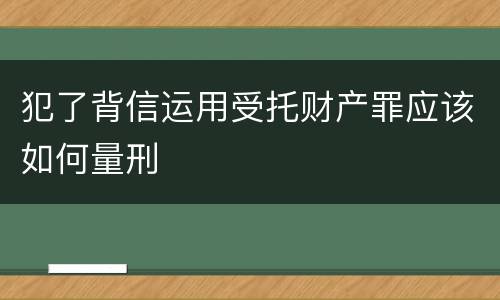 犯了背信运用受托财产罪应该如何量刑