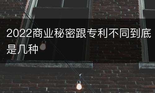 2022商业秘密跟专利不同到底是几种