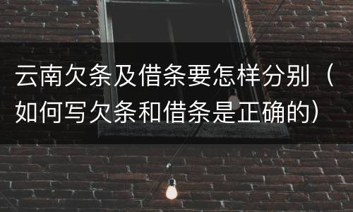 云南欠条及借条要怎样分别（如何写欠条和借条是正确的）