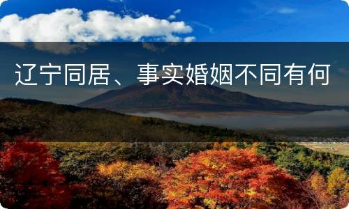 辽宁同居、事实婚姻不同有何