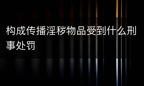 构成传播淫秽物品受到什么刑事处罚