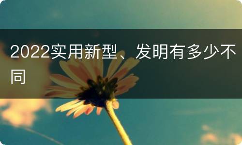 2022实用新型、发明有多少不同