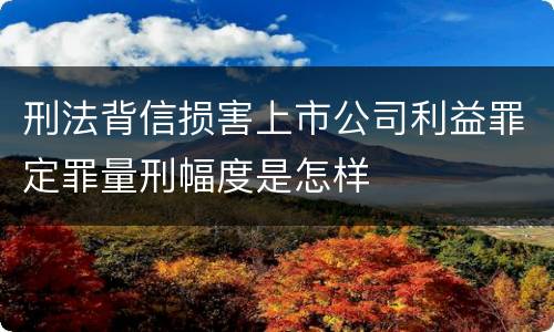 刑法背信损害上市公司利益罪定罪量刑幅度是怎样