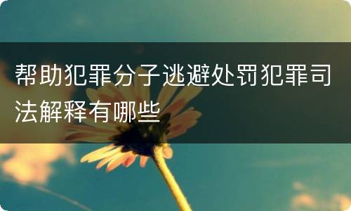 帮助犯罪分子逃避处罚犯罪司法解释有哪些