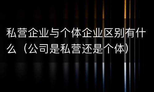 私营企业与个体企业区别有什么（公司是私营还是个体）