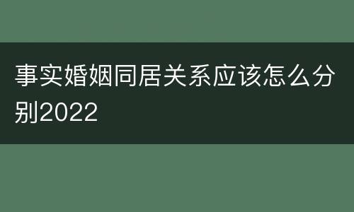 事实婚姻同居关系应该怎么分别2022